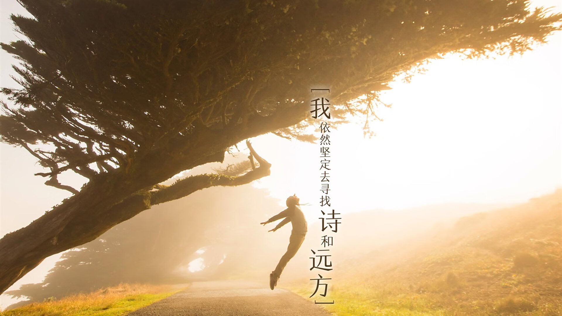 风暴中心的救赎密码——解码法国队主帅与西亚卡姆的破局时刻
